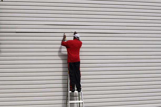 Best Aluminum Siding Installation  in Perry, OH