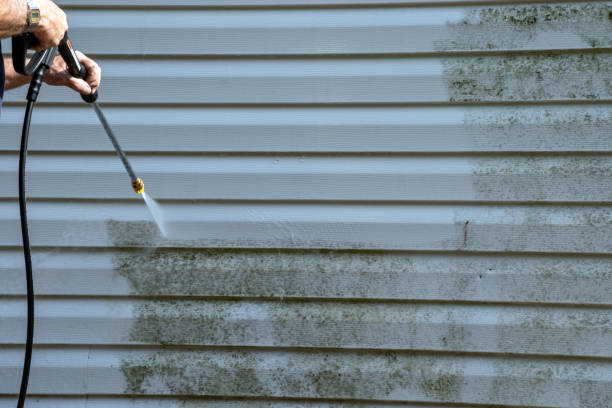 Best Residential Vinyl Siding Installation  in Perry, OH