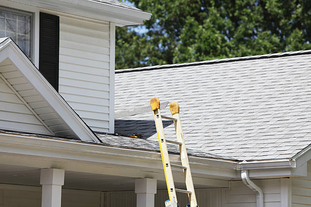 Best Storm Damage Siding Repair  in Perry, OH